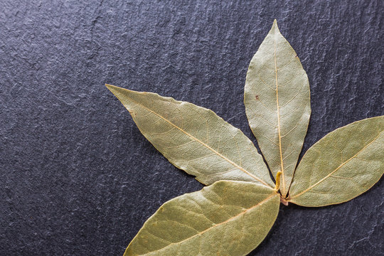 Ground Dried Bay Leaf On A Dark Stone Background