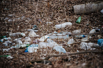 Obraz premium The beginning of spring in Russia. Garbage, dirt, surrounding nature. The problems of mankind. Protection of Nature