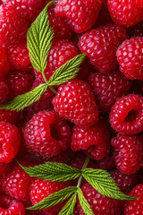 Juicy fresh natural raspberries on white acrylic background