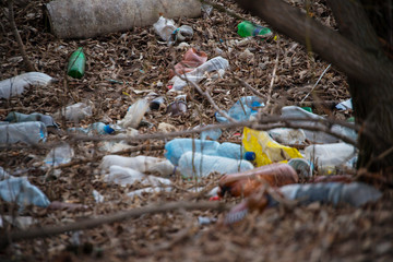 Obraz premium The beginning of spring in Russia. Garbage, dirt, surrounding nature. The problems of mankind. Protection of Nature