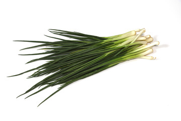 白背景のワケギ