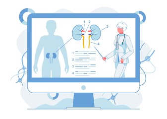 Human Kidneys Functions Study Vector Illustration