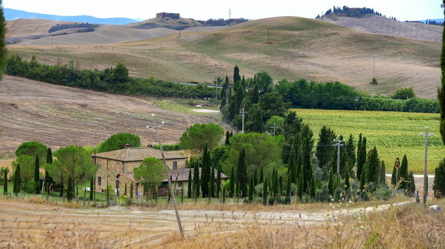 Kleiner Bauernhof zwischen emporragenden B&auml;umen in der Crete Senesi