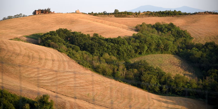Sanfte H&uuml;gel mit Feldern hinter einem Netz in der Crete Senesi Netz im 