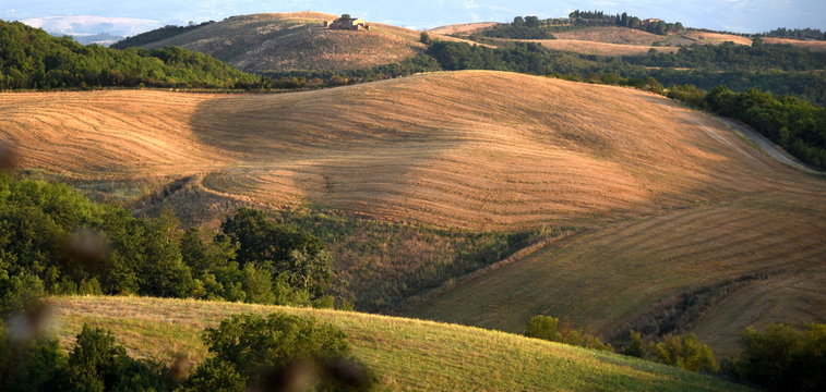 Liebliche H&uuml;gellandschaft der Crete Senesi