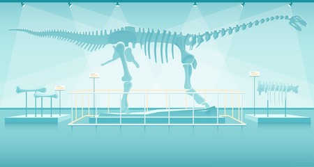 Exhibition Prehistoric Dinosaur Skeleton in Museum © Viktoriia