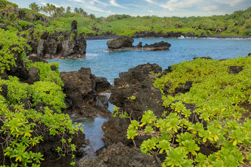 tropical ocean view from Road to Hana in Maui Hawaii.  Outdoor horizontal landscape. No People
