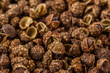 fragrant Sichuan pepper on white acrylic background