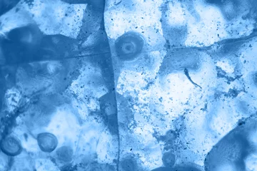 Abstrakter Hintergrund - Farbe des Jahres 2020 Pantone Classic Blue 19-4052 Scheibe Mineral Makrofotografie Vergrößerung x 40 © lukszczepanski