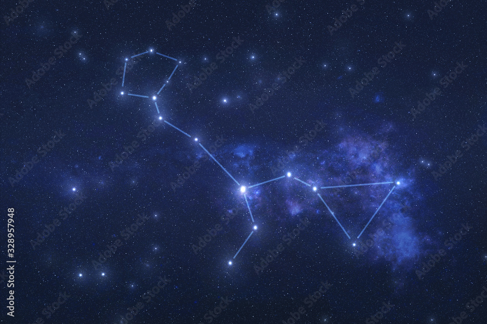 Canvas Prints cetus constellation in outer space. whale constellation stars with constellation lines elements of t
