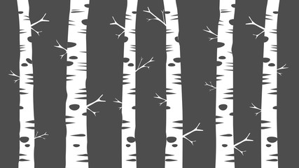 grey and white birch tree trunks design, decorative forest vector background