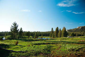 Fototapeta premium Tuolumne Meadows on a sunny day in Yosemite National Park, Sierra Nevada Mountains, California, USA.