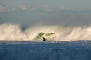 Surfer wiping out, Sydney Australia