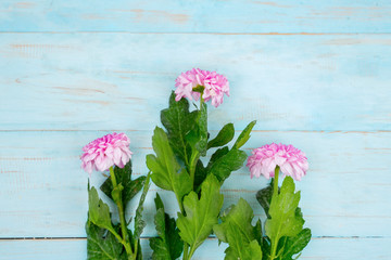 Flat lay of pink flower with green leaf