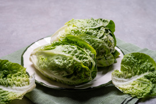 Fresh green raw Romaine or cos lettuce