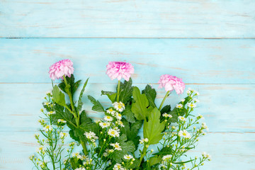 Gerbera flower with purple and white color