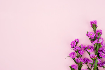 Top view of pink background with purple flower