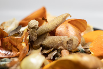 Organic biological kitchen waste, compostable food scraps, rotten food and leftovers from cooking, prepared for composting, Onion peel, Potato peel, Carrot husks, Orange peel