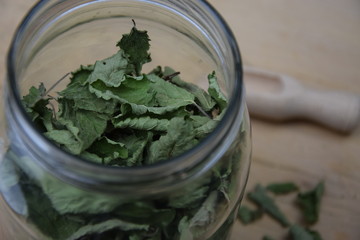 Suszona melisa lekarska