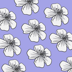 Cherry blossom blue pattern blooming spring flowers floral botanical background illustration for card design