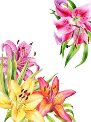Bouquet of watercolor lily, red, pink, yellow, orange lilly flowers on an isolated white background, watercolor flower, stock illustration. Card, postcard, greeting, invitation.
