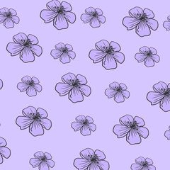 Cherry blossom purple violet pattern blooming spring flowers floral botanical background illustration for card design