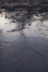 background of the swamp, ice and grass closeup