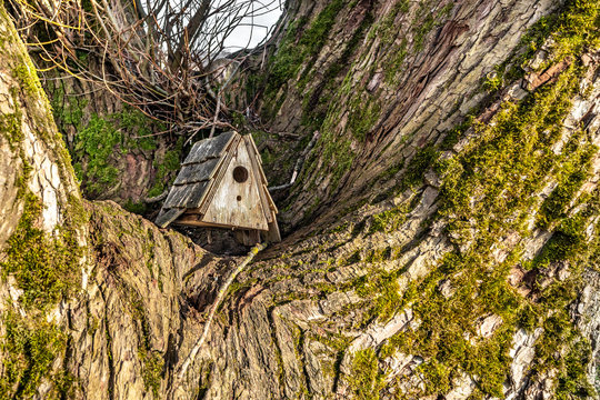  รูปภาพSchlupfloch – เลือกดูภาพถ่ายสต็อก เวกเตอร์ และวิดีโอ202 