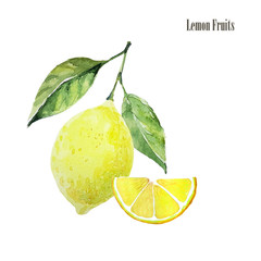 Fresh lemon fruit arrangement illustration. Botanical watercolor print. Healthy organic food product. Slice of lemon and lemon fruit with leaves isolated on white background. High quality 300 DPI