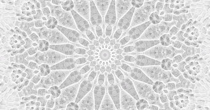 Skin snake background White snake skin texture Close-up 