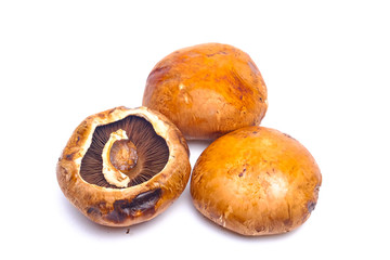 Portobello mushroom isolated on white background