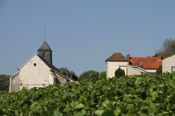Fototapeta na wymiar the church and other buildings stand in the middle of the vineyards