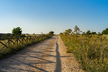 Fototapeta na wymiar road in countryside