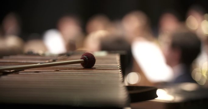 Dulcimer musical instrument during the concert