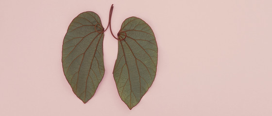 lung shaped leaves,Lung cancer, world tuberculosis day, world no tobacco day, corona covid-19...