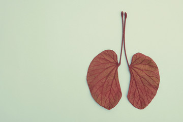 lung shaped leaves, world tuberculosis day, Lung cancer, world no tobacco day, corona covid-19...