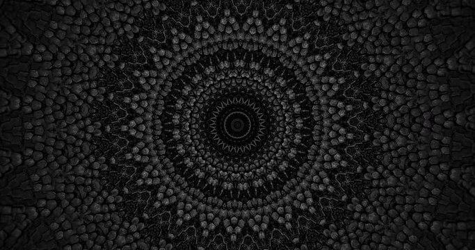 Parallax effect. Radial black snake skin background. Snake skin texture closeup. 4k zoom in video
