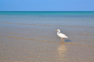 Garza Blanca Holbox Yucatán