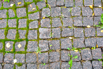 Stone walkway red granite bricks floor texture with moss. Old street pavement