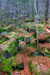 Obraz premium North Bohemia forest Landscape with its Boulders and Trees, Jizera Mountains, Czech Republic