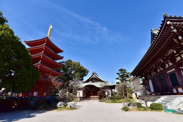 Fototapeta premium 日本の福岡の太宰府天満宮の梅と桜