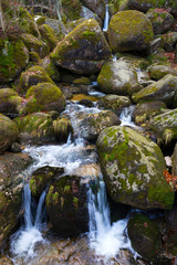 North Bohemia forest Landscape with White Stream, Jizera Mountains, Czech Republic