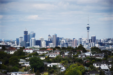 Fototapeta premium Auckland city, New Zealand