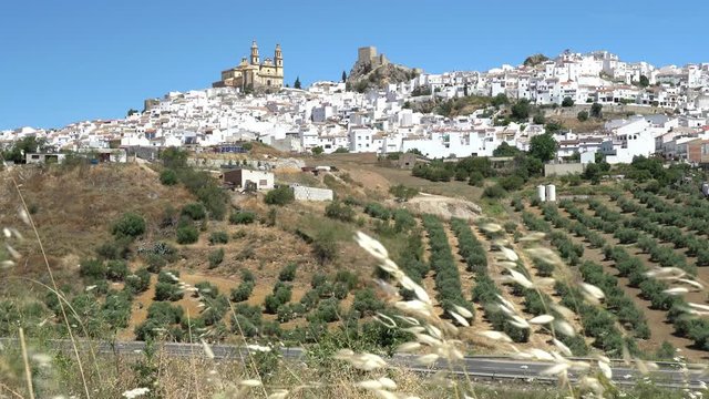 Picturesque sight in the beautiful Olvera, province of Cadiz, Andalusia, Spain.