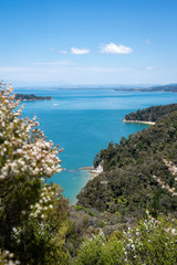 Fototapeta na wymiar beautiful view of Abel Tasman track