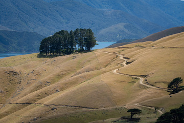 landscape in French pass in the marlborough sounds in new zealand