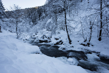 snow landscape in uzungol