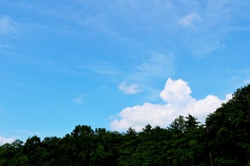 空　雲　シロクマ雲　森　風景　茨城