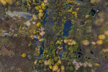 Nature and landscape: aerial view of forest and lakes, autumn leaves, foliage, greenery and trees in wilderness landscape