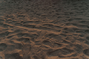 arena de playa dorada en la costa